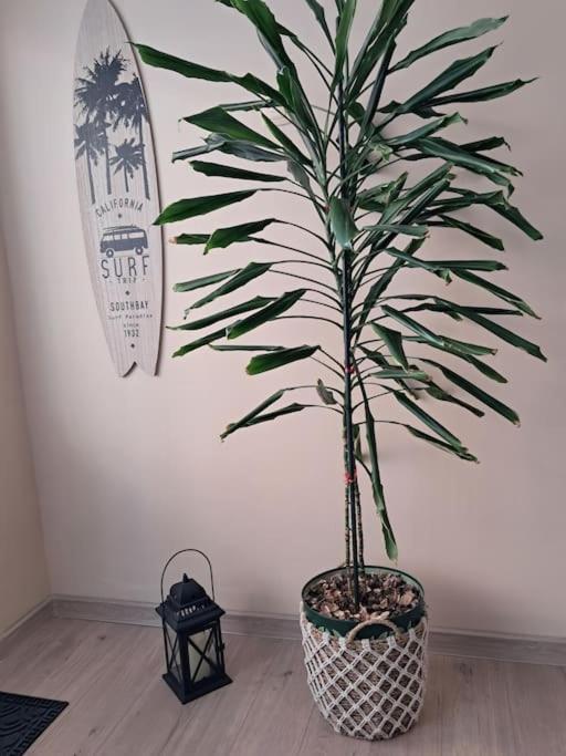 Holiday Home Apartment דירה *